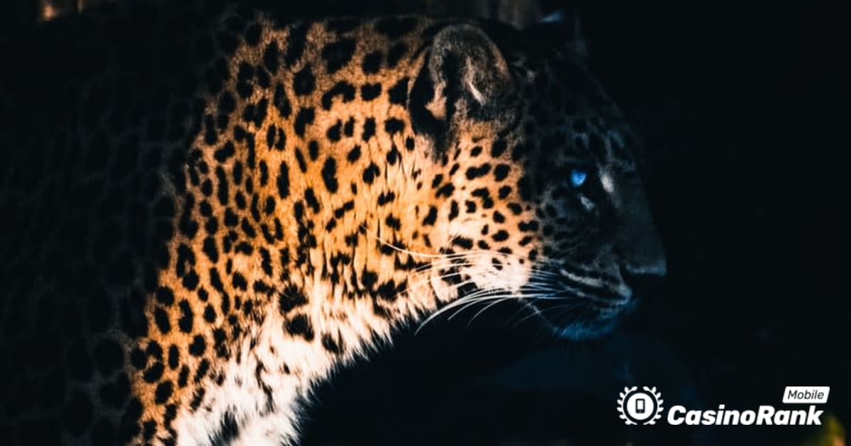 Yggdrasil Partners ReelPlay untuk Melancarkan Jaguar SuperWays dari Bad Dingo