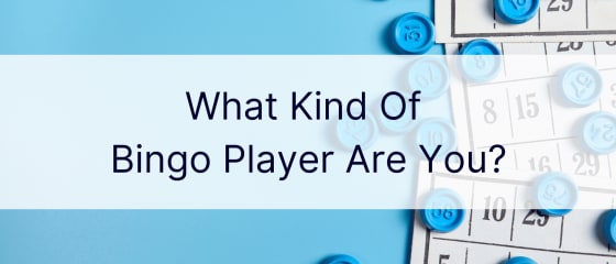 Apakah Jenis Pemain Bingo Anda?